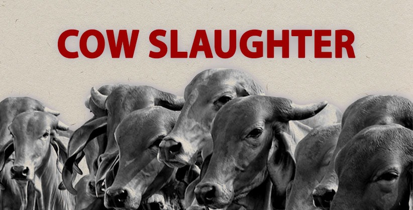 Bakri Eid: Karnataka Warns Against Cow Slaughter, Asks Officials To Keep An Eagle Eye On Cattle Sacrifice