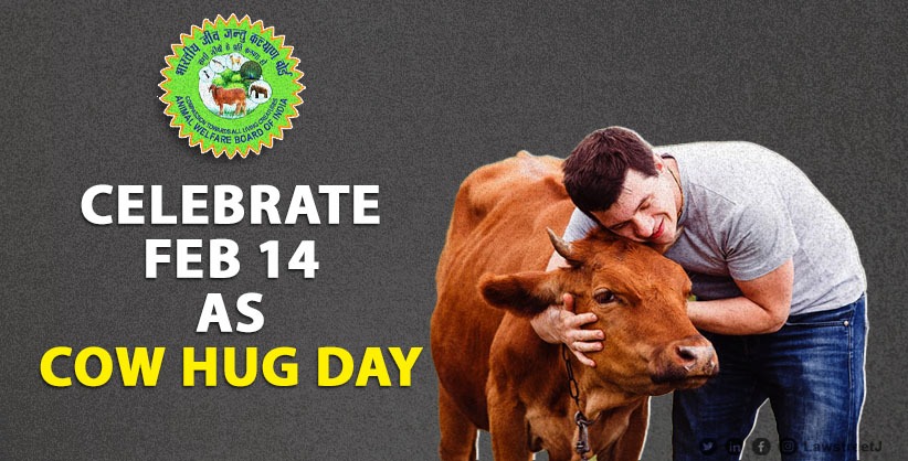 Celebrate Feb 14 as 'Cow Hug Day': AWBI