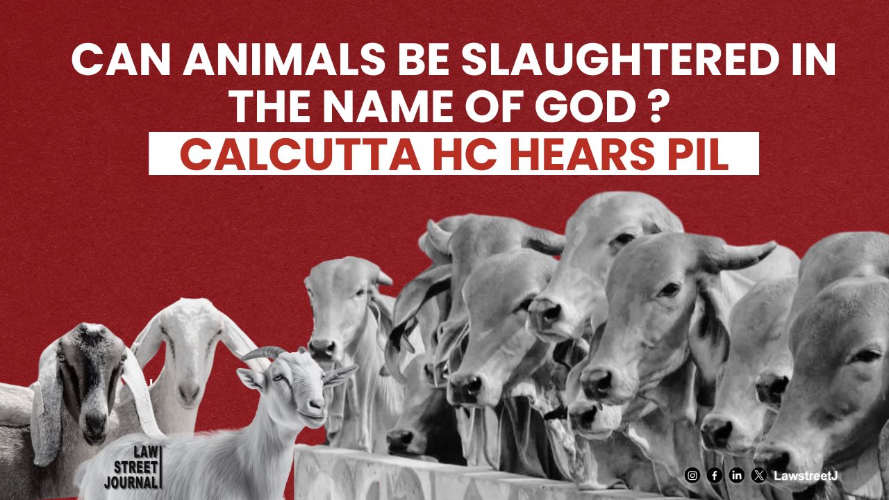 Can animals be slaughtered in the name of God ? : Calcutta High Court hears PIL
