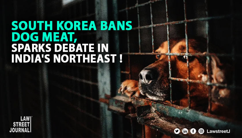 South Korea Enacts Landmark Ban on Dog Meat Indias Northeast Faces Controversy Over Consumption